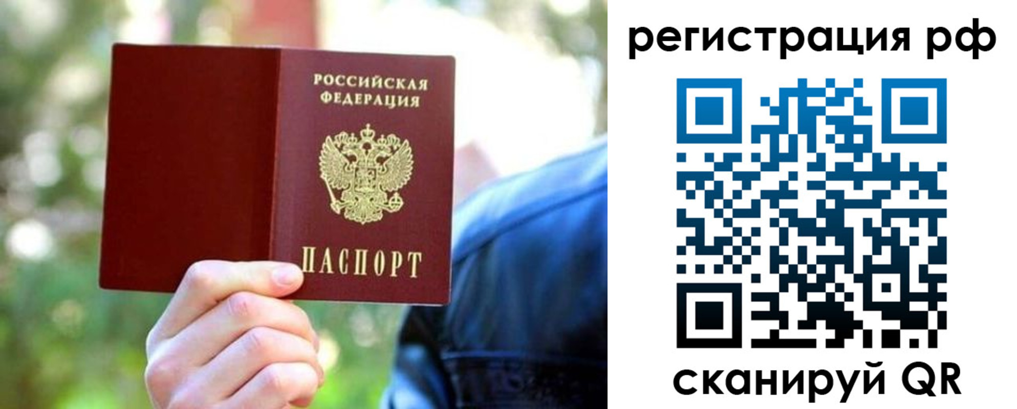 прописка поиск в Борзе