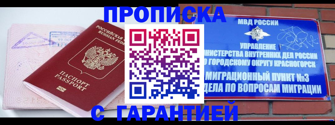 прописка законно в Борзе